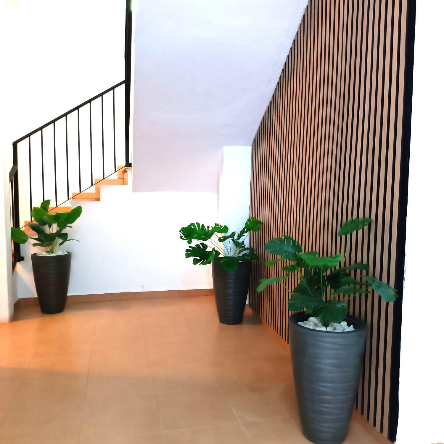 Apartamentos Duende Málaga Eksteriør bilde